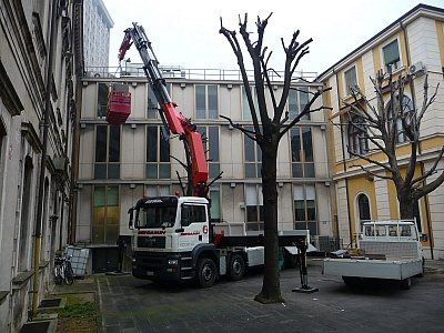 fotogallery 
	Parco Mezzi

	Guarda la Gallery dei nostri Automezzi

	Il nostro parco macchine si rinnova al passo con la tecnologia di nuova generazione nell'ottica di uno sviluppo ecosostenibile.
 Fotogallery, immagine camiongru-6.jpg